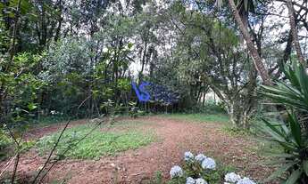 Imagem 7: Sítio em Santa Maria do Herval/RS!