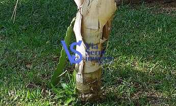 Imagem 5: Terreno com 2 Dormitorio(s) localizado(a) no bairro em Igrejinha / RIO GRANDE DO SUL Ref