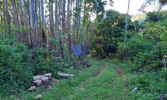 Imagem: Sítio em Canela/RS!