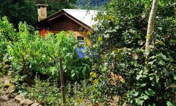 Imagem 5: Sítio em Igrejinha/RS!