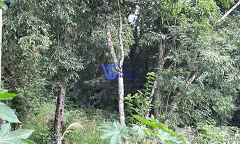 Imagem: Mini sítio dentro da cidade em Igrejinha/RS!