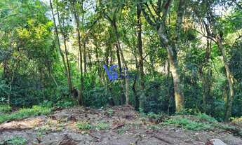 Imagem: Sítio em Três Coroas/RS!