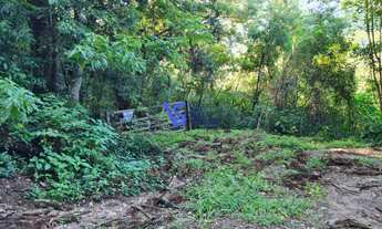 Imagem 2: Sítio em Três Coroas/RS!