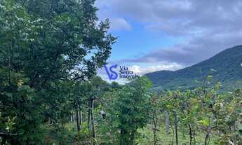 Imagem 5: Sítio em Igrejinha!