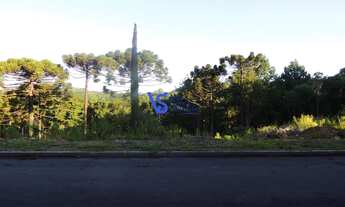 Imagem: Terreno no Bairro Dutra, em Gramado/RS!
