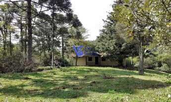 Imagem: Sítio em Igrejinha, Bairro Serra Grande!