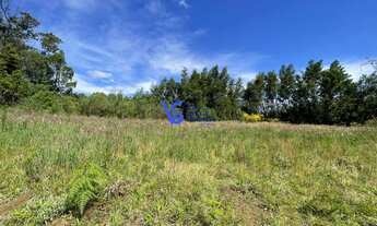 Imagem 4: Sítio na Serra Grande, em Igrejinha/RS!