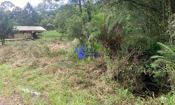 Imagem 7: Sítio na Serra Grande, em Igrejinha/RS