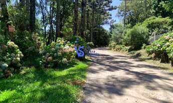Imagem: Terreno em Serra Grande, Igrejinha/RS