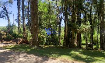 Imagem 5: Terreno em Serra Grande, Igrejinha/RS