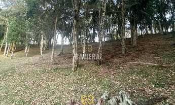 Imagem 3: Terreno para chácara