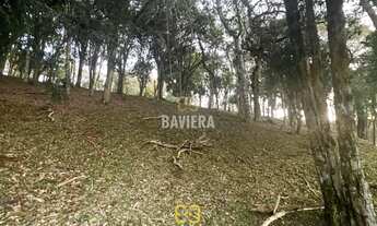 Imagem 4: Terreno para chácara