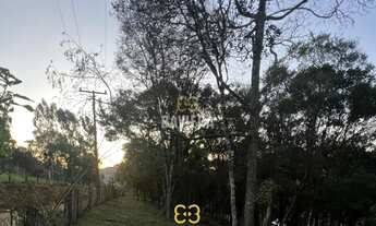 Imagem 6: Terreno para chácara