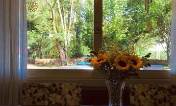 Imagem 7: Casa Plana Com Piscina e Pomar De Alto Padrão Em 2 Terrenos Em Ivoti