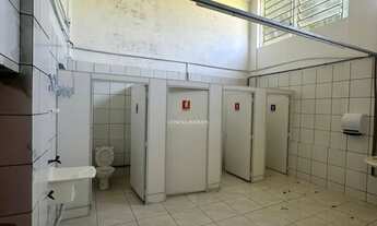 Imagem 4: Ótima Oportunidade :Três Pavilhões Localizados às Margens da BR 116 em Morro Reuter com 15