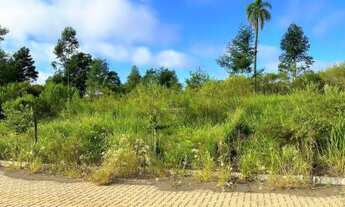 Imagem: Terreno em Dois Irmãos com 342m²