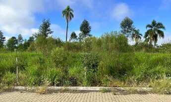 Imagem: Terreno em Dois Irmãos Loteamento Concórdia