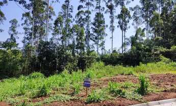 Imagem 2: Lindos Terrenos Centro de Presidente Lucena Loteamento Lucena