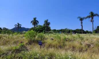 Imagem 3: Lindos Terrenos Centro de Presidente Lucena Loteamento Lucena