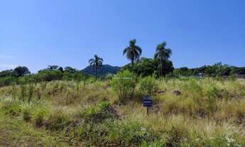 Imagem 4: Lindos Terrenos Centro de Presidente Lucena Loteamento Lucena