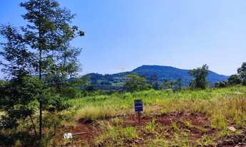 Imagem 7: Lindos Terrenos Centro de Presidente Lucena Loteamento Lucena