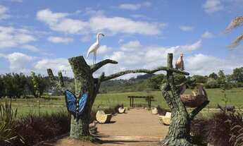 Imagem 4: Terreno - Lot. Ilha dos Açores