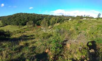 Imagem: Área de terra - Palmeira do Sertão
