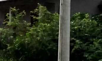 Imagem 3: Terreno com 3 Dormitorio(s) localizado(a) no bairro União em Estância Velha / Rio Grande