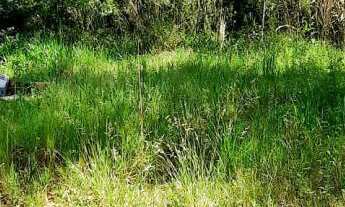 Imagem 4: Terreno com 2 Dormitorio(s) localizado(a) no bairro Rosas em Estância Velha / Rio Grande