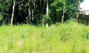 Imagem 5: Terreno com 2 Dormitorio(s) localizado(a) no bairro Rosas em Estância Velha / Rio Grande