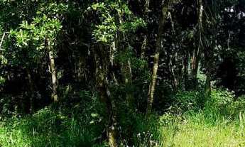 Imagem 6: Terreno com 2 Dormitorio(s) localizado(a) no bairro Rosas em Estância Velha / Rio Grande