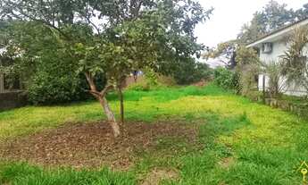 Imagem 3: Terreno com 2 Dormitorio(s) localizado(a) no bairro Bela Vista em Campo Bom / Rio Grande