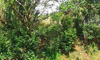 Imagem: Terreno com 2 Dormitorio(s) localizado(a)