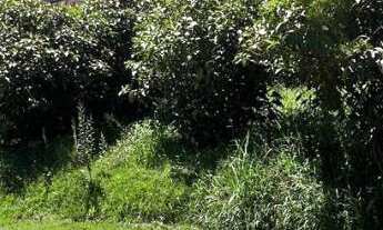 Imagem 6: Terreno com 1 Dormitorio(s) localizado(a) no bairro Encosta do Sol em Estância Velha / Ri