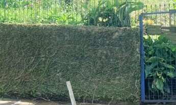 Imagem: Terreno com 1 Dormitorio(s) localizado(a)