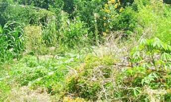 Imagem 3: Terreno com 1 Dormitorio(s) localizado(a) no bairro Rincão em Novo Hamburgo / Rio Grande