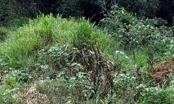 Imagem: Terreno no Bairro Floresta