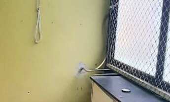 Imagem 7: Apartamento com 2 Dormitorio(s) localizado(a) no bairro Centro em Novo Hamburgo / Rio Gra