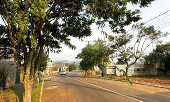 Imagem 7: Terreno com 3 Dormitorio(s) localizado(a) no bairro Concórdia em Ivoti / Rio Grande do Su