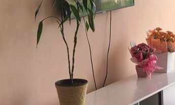 Imagem 2: Apartamento com 2 Dormitorio(s) localizado(a) no bairro Sol Nascente em Estância Velha