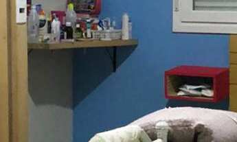 Imagem 4: Apartamento com 2 Dormitorio(s) localizado(a) no bairro Sol Nascente em Estância Velha