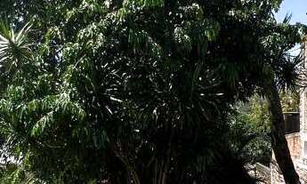 Imagem 2: Terreno com 2 Dormitorio(s) localizado(a) no bairro Rincao dos Ilheus em Estância Velha