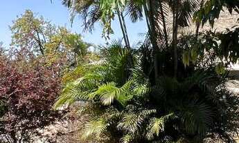 Imagem 7: Terreno com 2 Dormitorio(s) localizado(a) no bairro Rincao dos Ilheus em Estância Velha