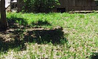 Imagem: Terreno à venda com excelente localização