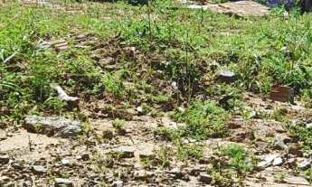 Imagem 4: Terreno disponível para venda em Novo Hamburgo