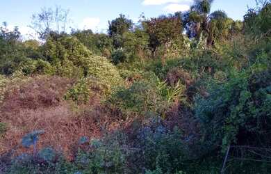 Imagem 4: Terreno com 2 Dormitorio(s) localizado(a) no bairro Rondônia em Novo Hamburgo / Rio Grand