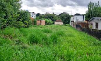 Imagem: Linda área plana em rua asfaltada, ante