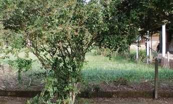 Imagem 2: Terreno Amplo e Limpo