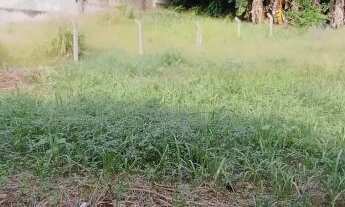 Imagem 4: Terreno Amplo e Limpo