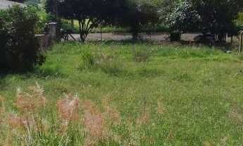 Imagem 5: Terreno Amplo e Limpo